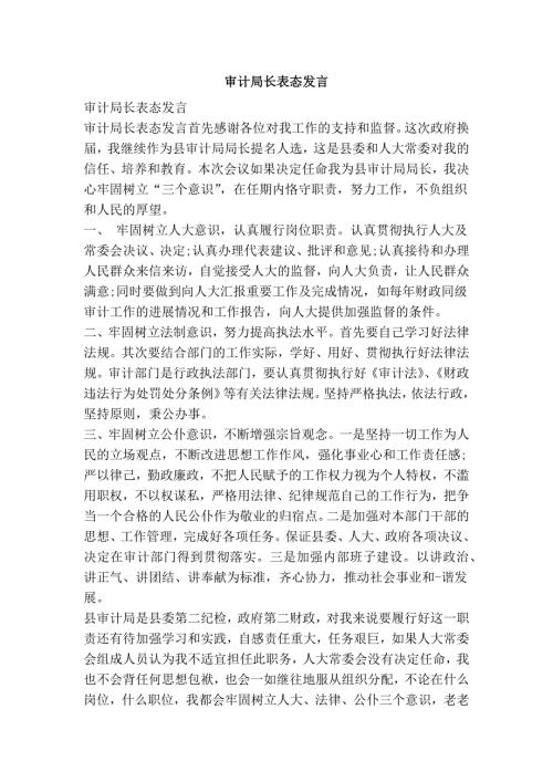 3295091634审计局长表态发言.doc