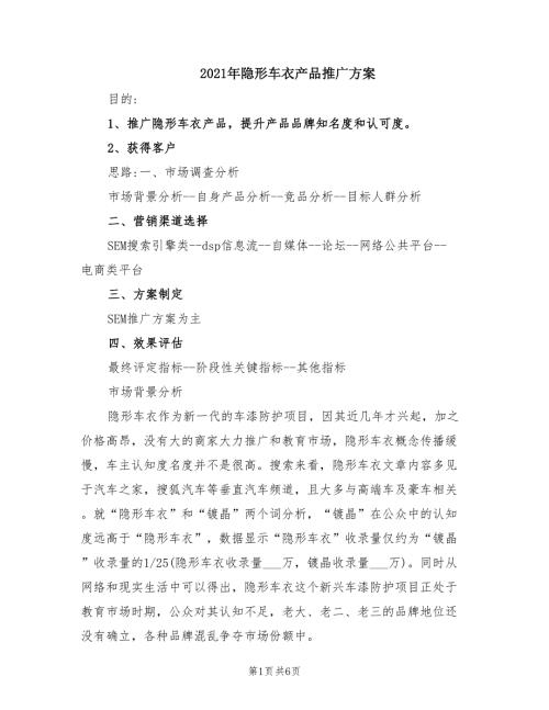 2021年隐形车衣产品推广方案.doc