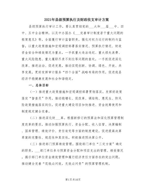 2021年县级预算执行及财政收支审计方案.doc