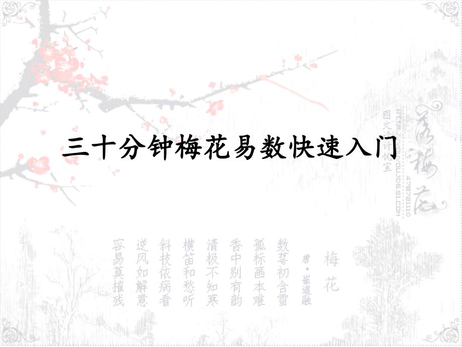 三十分钟梅花易数快速入门.ppt_第1页