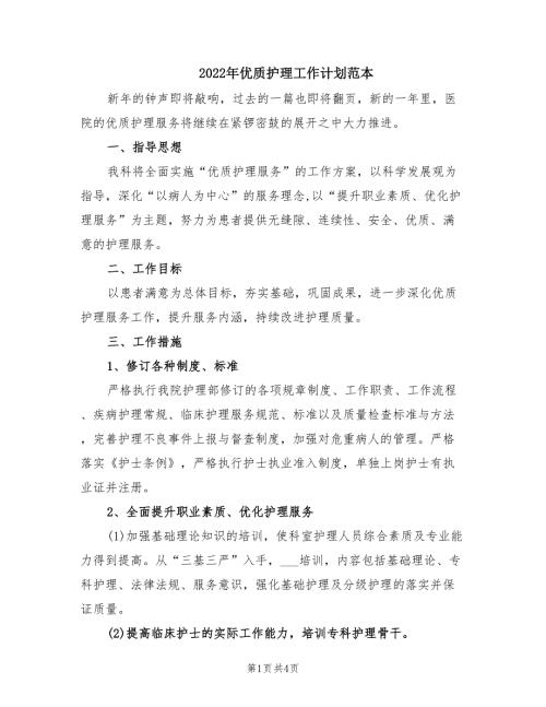 2022年优质护理工作计划范本.doc