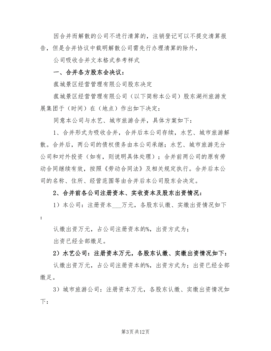 2021年公司吸收合并方案.doc_第3页
