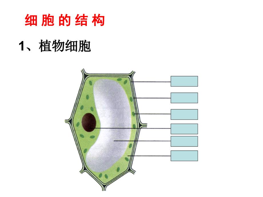 上海初中科学会考复习实验部分.ppt_第3页