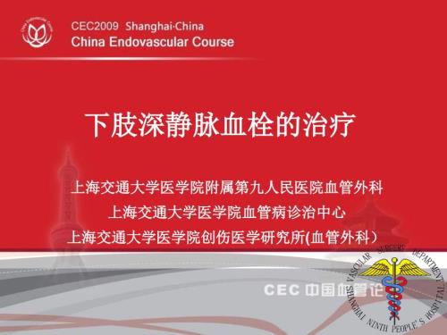 下肢深静脉血栓的治疗.ppt