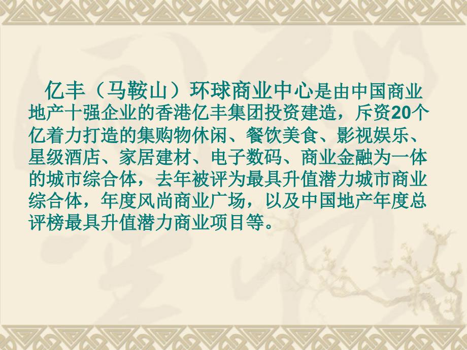亿丰马鞍山环球商业中心介绍.ppt_第3页