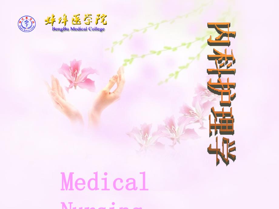 内科护理学绪论课件.ppt_第1页