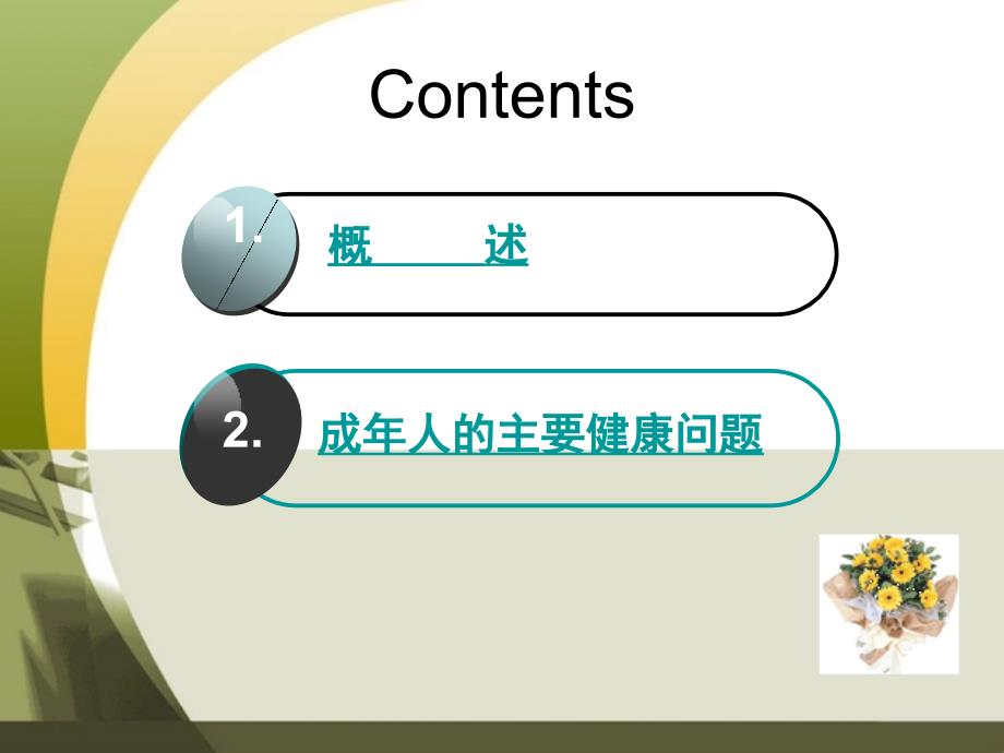 内科护理学绪论课件.ppt_第3页