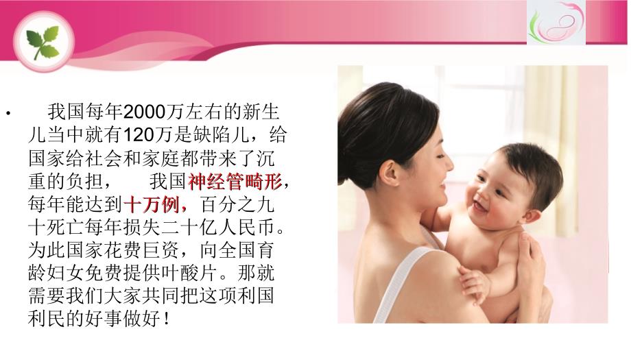 叶酸培训课件PPT课件.ppt_第2页