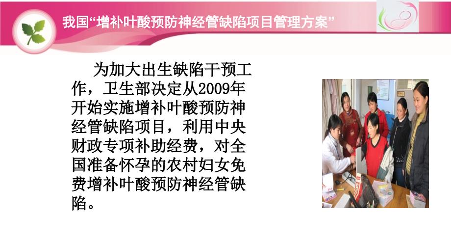 叶酸培训课件PPT课件.ppt_第3页