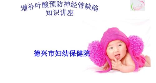 叶酸培训课件PPT课件.ppt