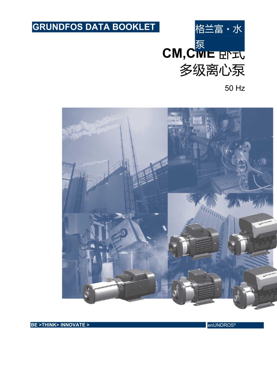 丹麦格兰富CM系列水泵样本型号大全.doc_第1页