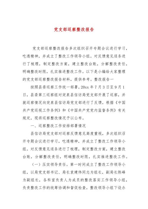 党支部巡察整改报告.docx