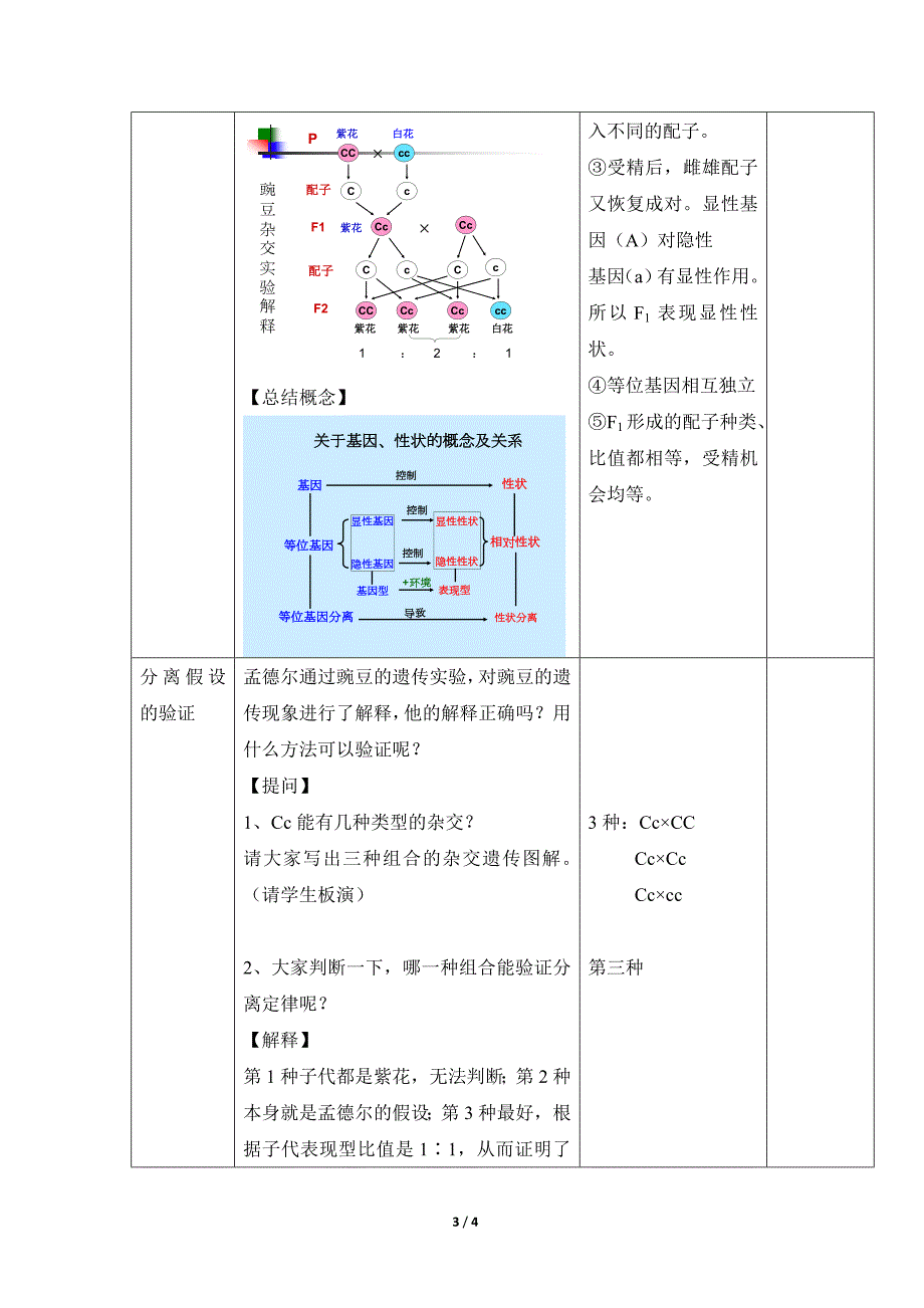 分离定律教案.doc_第3页