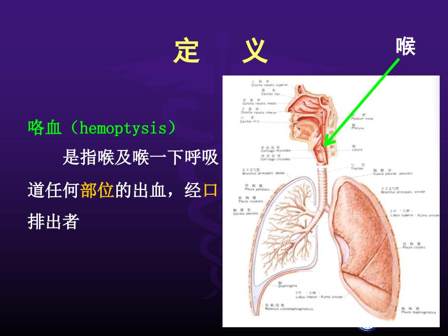 咯血课件.ppt_第2页
