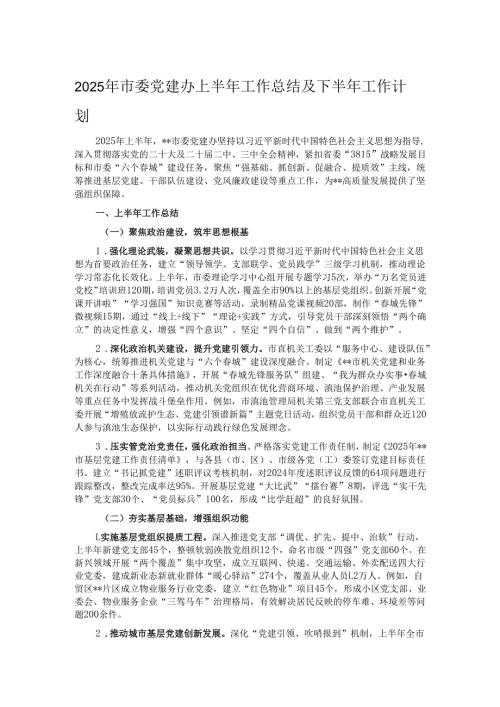 2025年市委党建办上半年工作总结及下半年工作计划.docx