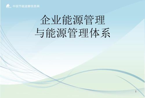 企业能源管理与能源管理体系.ppt