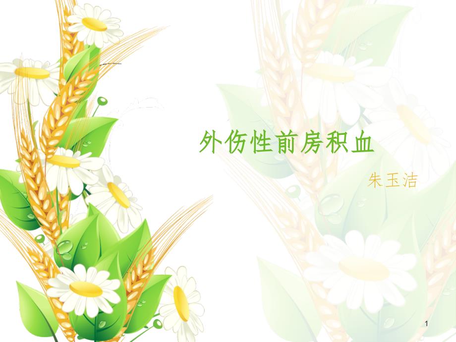 外伤性前房积血PPT精选文档.ppt_第1页