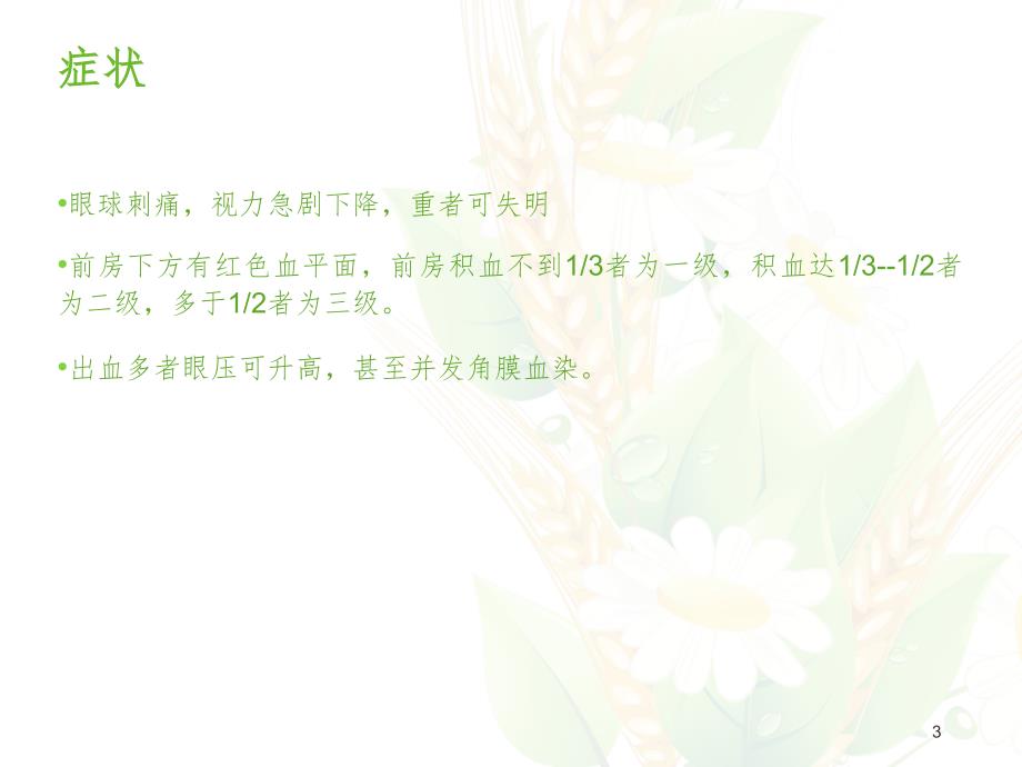 外伤性前房积血PPT精选文档.ppt_第3页