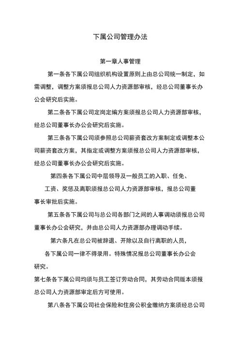 下属公司管理办法.docx