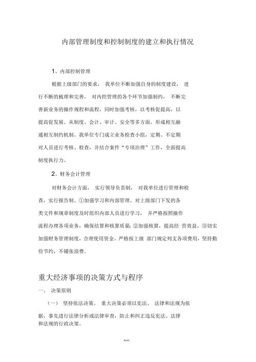 内控制度的执行情况.docx