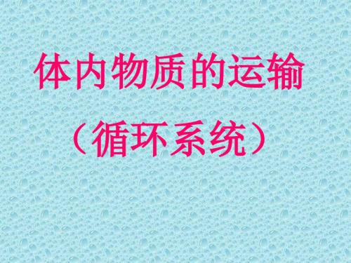 体循环肺循环PPT课件.ppt