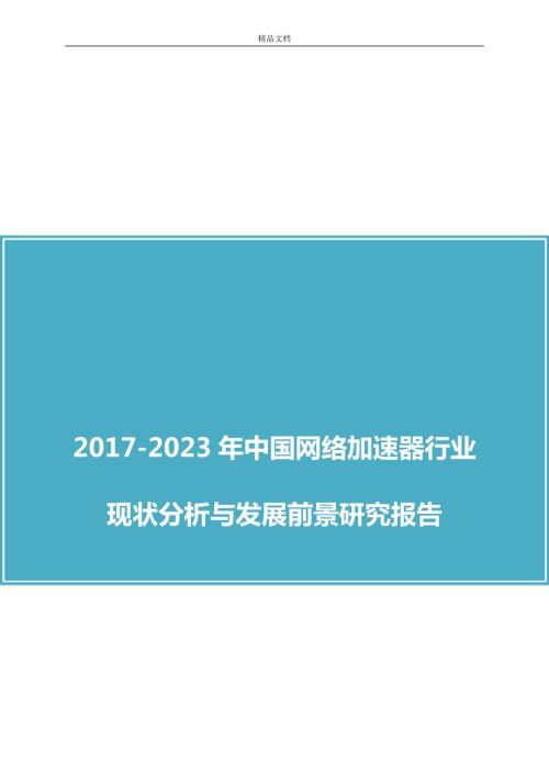 中国网络加速器行业分析报告.docx