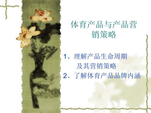 体育产品营销策略.ppt