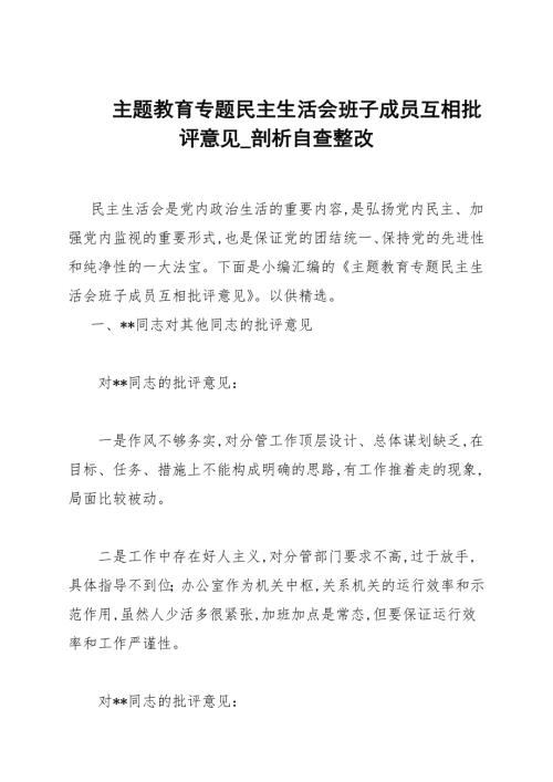 主题教育专题民主生活会班子成员互相批评意见.docx
