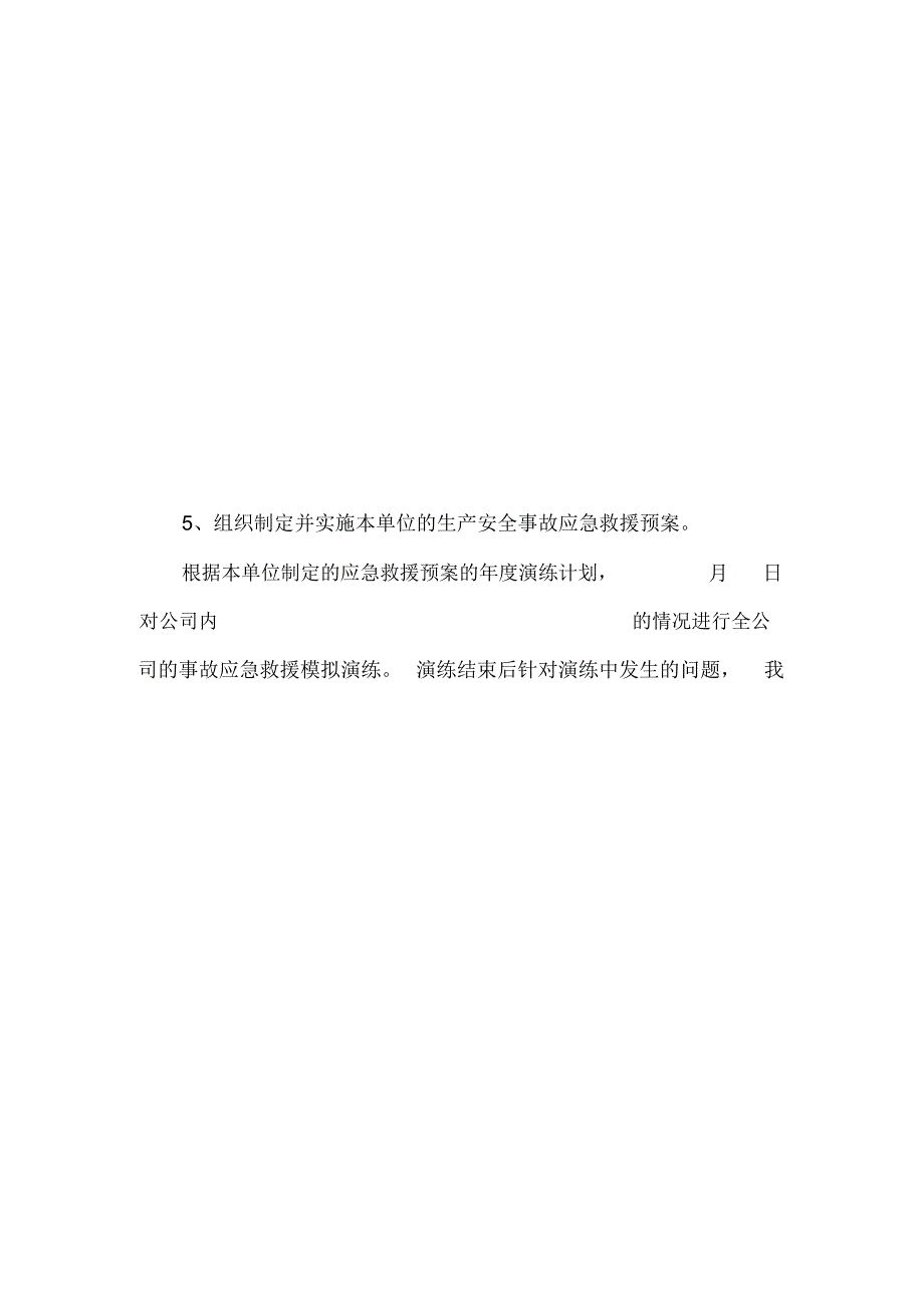 主要负责人履职情况报告.doc_第3页