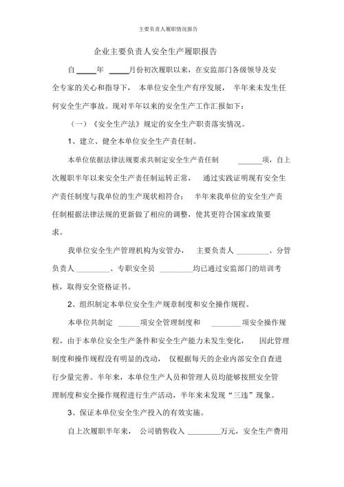 主要负责人履职情况报告.doc