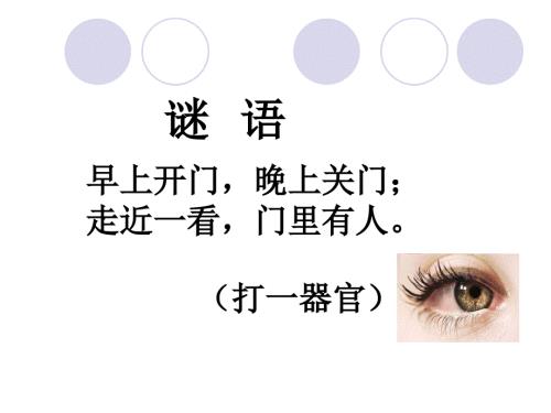 保护眼睛PPT课件.ppt