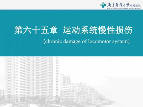 内科学运动系统慢性损伤.pptx