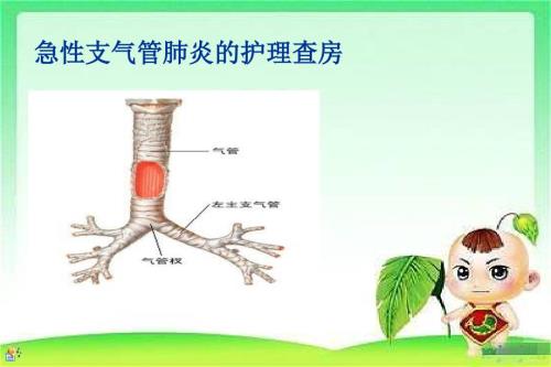 小儿急性支气管炎护理查房.ppt