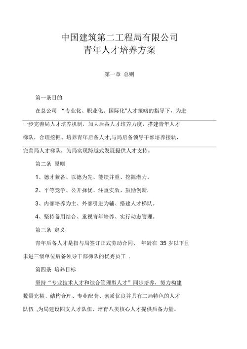 中建二局青年人才培养方案.docx