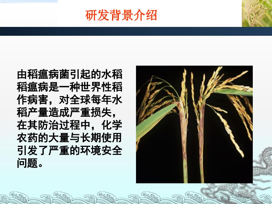 大创中期检查汇报.ppt_第3页