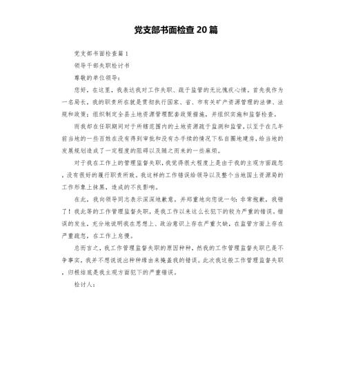 党支部书面检查20篇模板.doc