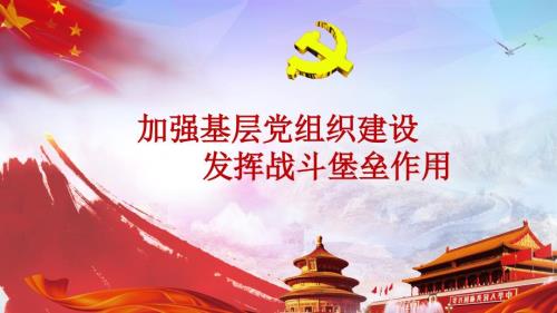 加强基层党组织建设发挥战斗堡垒作用.ppt