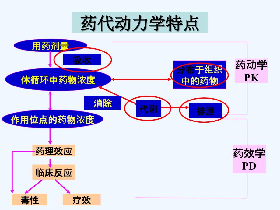 妇产科用药指南.ppt_第3页