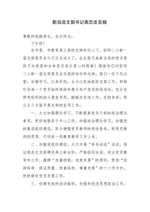 学校新当选支部书记在支部大会上表态发言.doc