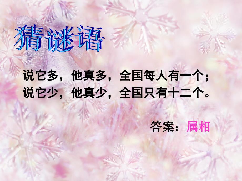 人教版小学美术五年级下册十二生肖.ppt_第2页