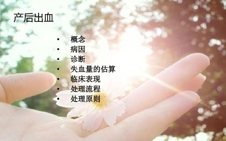 产后出血的护理.ppt_第3页