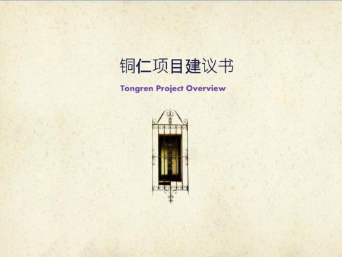 主题商业街策划方案.ppt