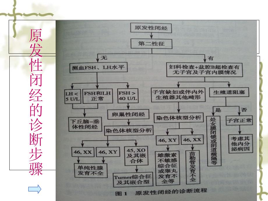 中医妇科闭经PPT课件.ppt_第3页