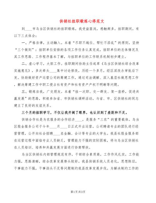 供销社挂职锻炼心得范文2篇.doc