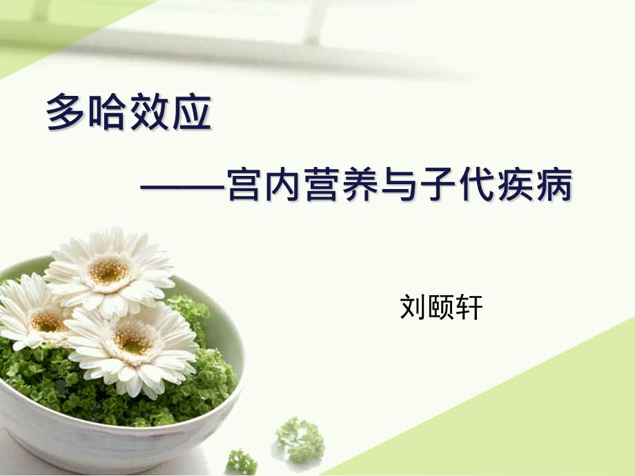 多哈理论终板.pptx_第1页