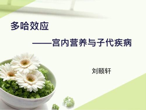 多哈理论终板.pptx