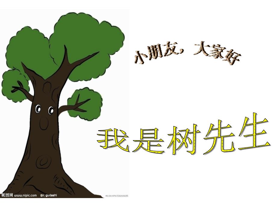你好大树课件.ppt_第2页
