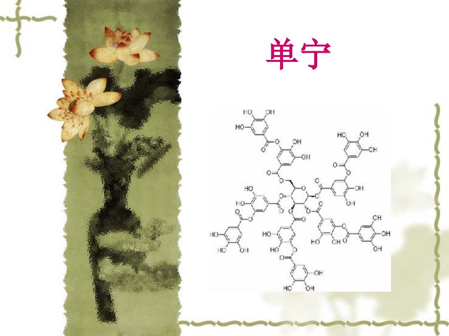 单宁的作用和用途PPT课件.ppt_第1页