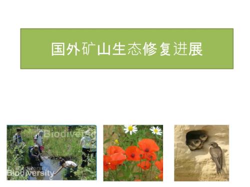 国外矿山生态修复进展.ppt