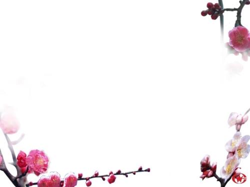 如何处理好学习与体育锻炼关系.ppt